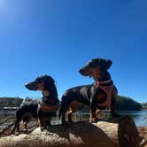 Review photo of Lake Lanier Islands Resort Shoal Creek Campground by jane P., November 4, 2025