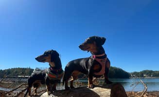 jane P.'s photo of camping with pets at Lake Lanier Islands Resort Shoal Creek Campground near Cumming, GA