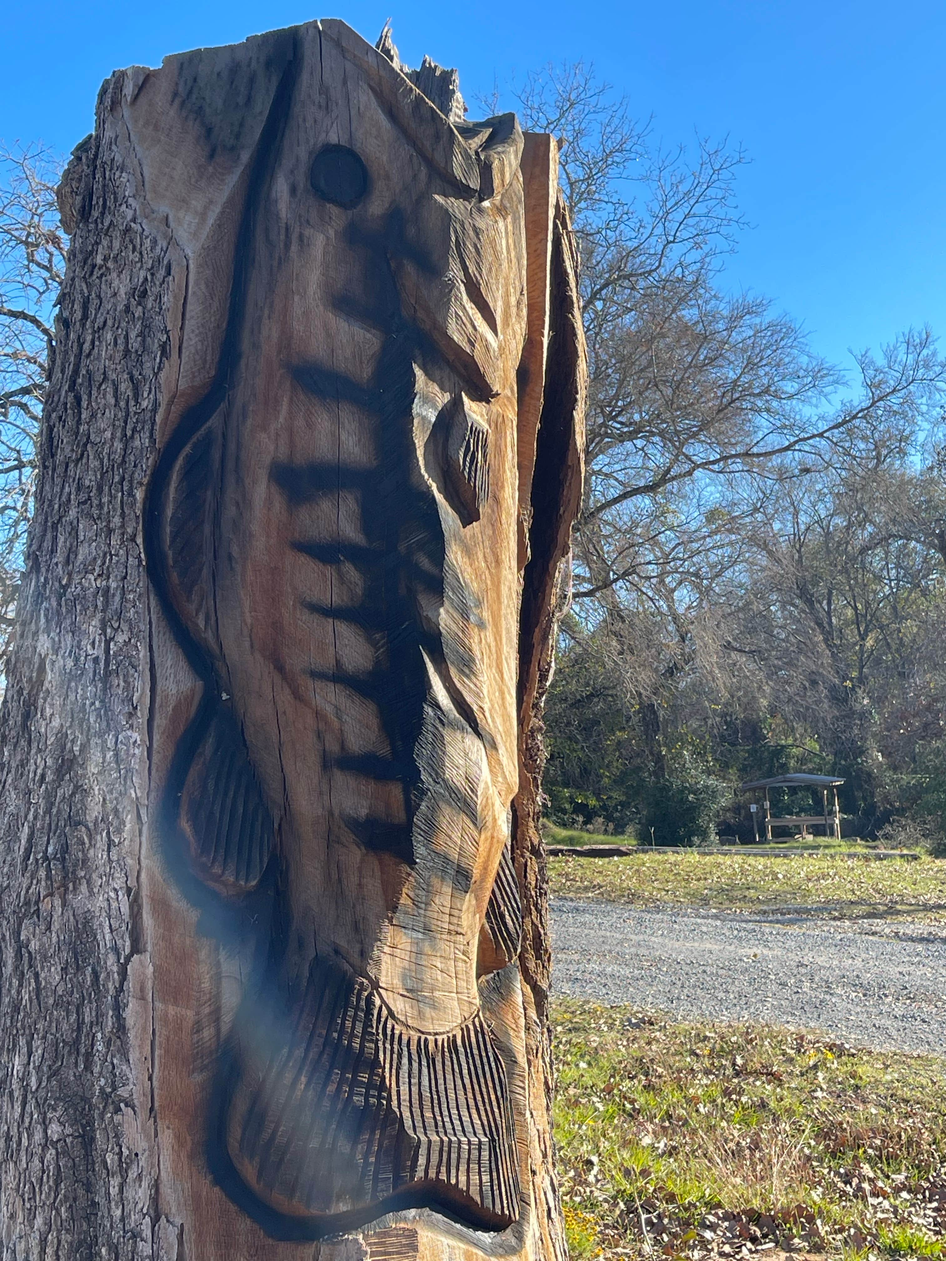 Camper submitted image from Lake Limestone Campground and Marina - 4