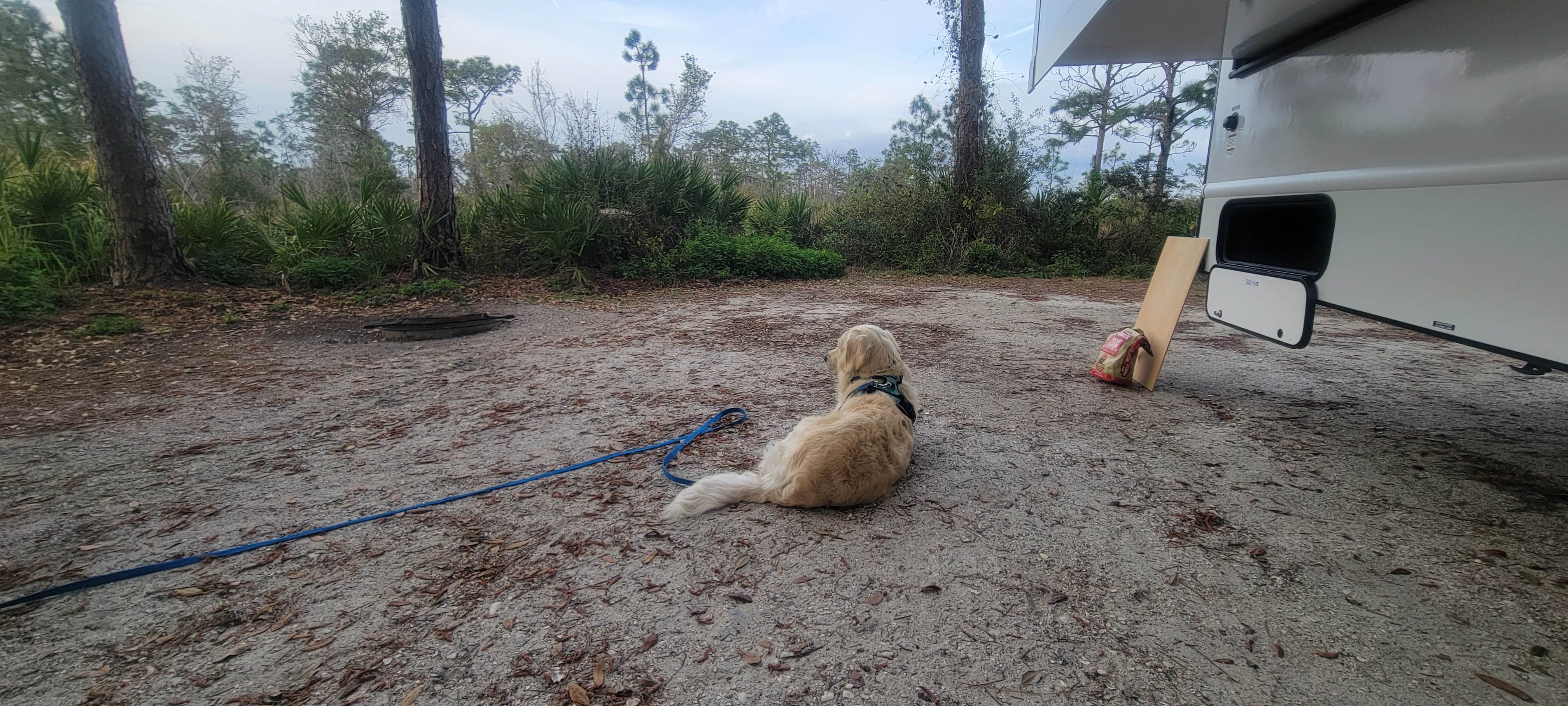 Amy P.'s photo of camping with pets at Lake Manatee State Park Campground near Anna Maria, FL