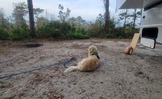 Amy P.'s photo of camping with pets at Lake Manatee State Park Campground near Anna Maria, FL