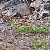 Review photo of Lake Manatee State Park Campground by Jill K., April 22, 2025