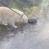 Review photo of Lake Manatee State Park Campground by Amy P., March 13, 2024