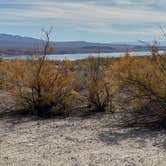 Review photo of Stewart’s Point Dispersed Camping — Lake Mead National Recreation Area by Leslie J., November 11, 2024