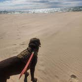 Review photo of Beach Campground — Holland State Park by Derek J., May 2, 2026
