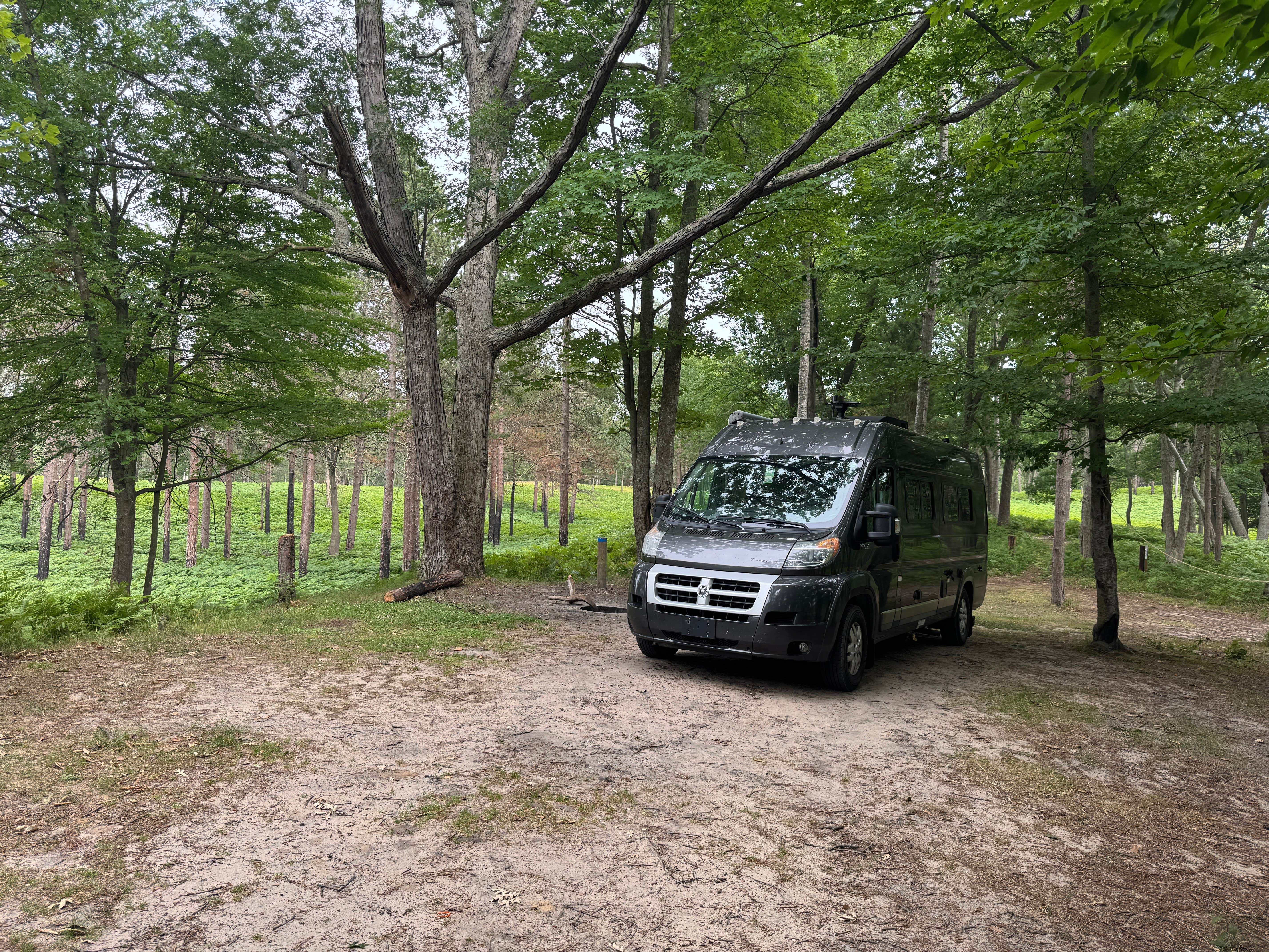 Camper submitted image from Lake Michigan Recreation Area - 1