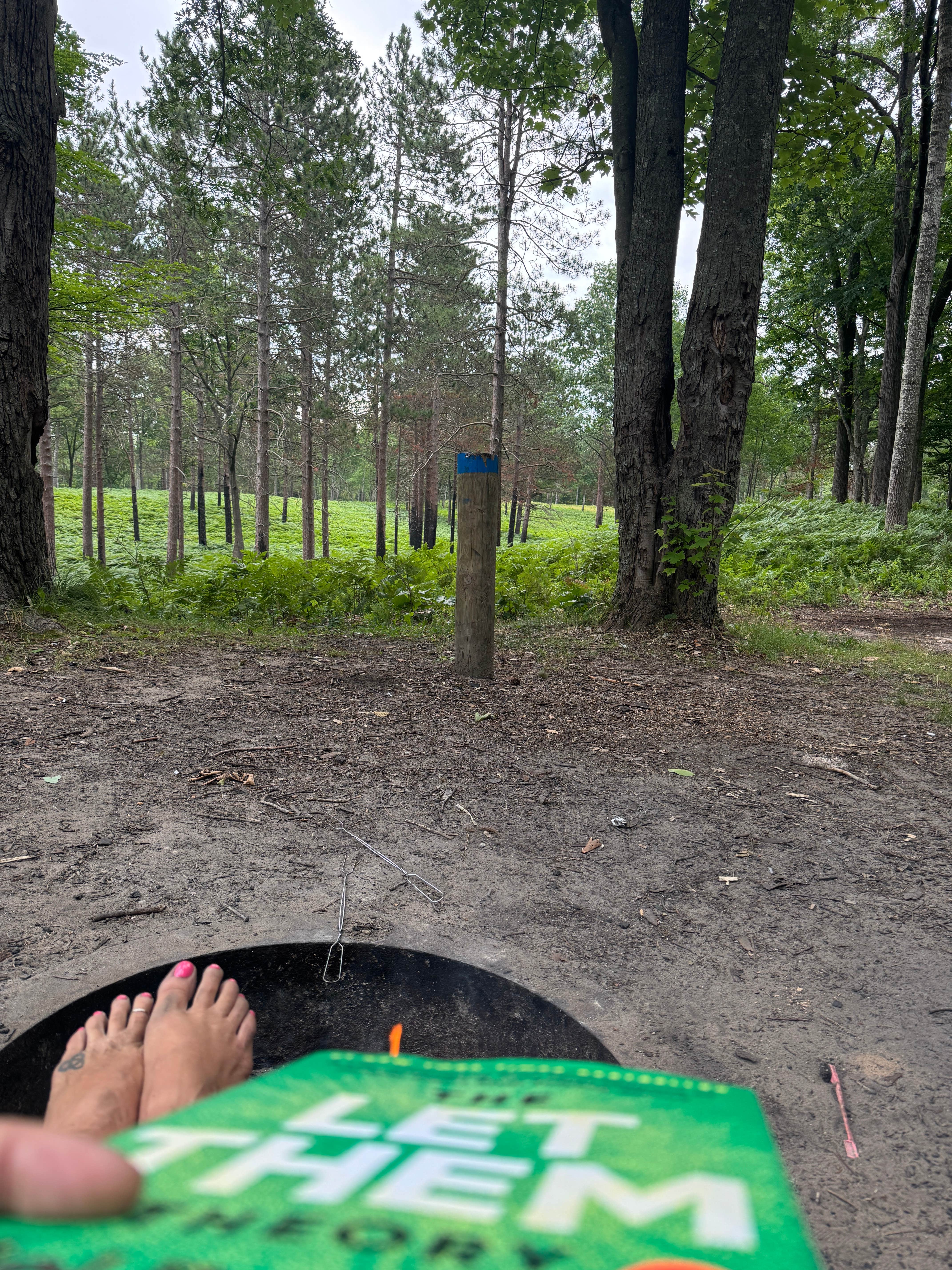 Camper submitted image from Lake Michigan Recreation Area - 2