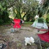 Review photo of Lake Monroe Park by Silly M., July 31, 2025