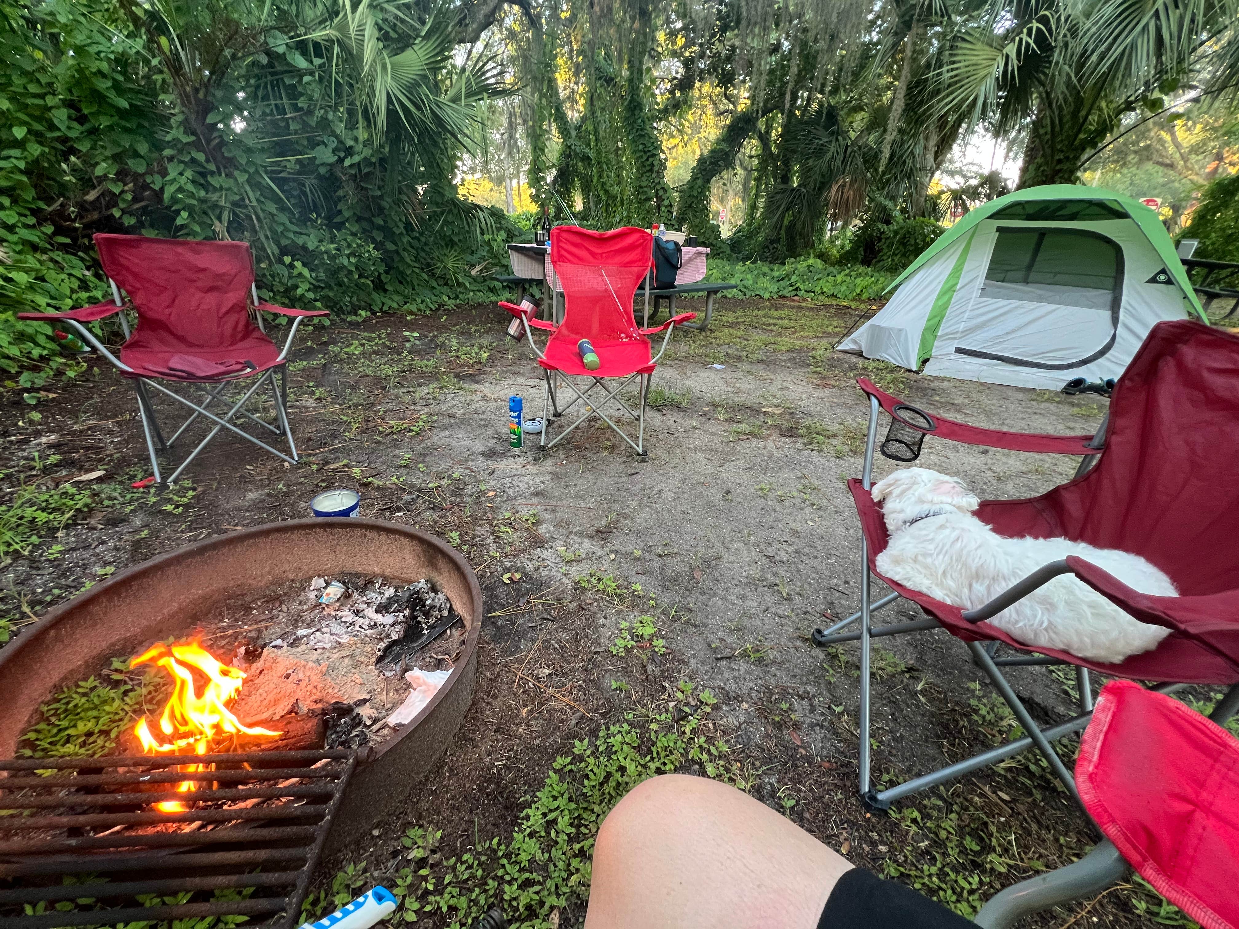 Camper-submitted photo at Lake Monroe Park near Osteen, FL