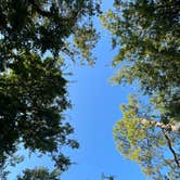 Review photo of Lake Monroe Park by Silly M., July 31, 2025