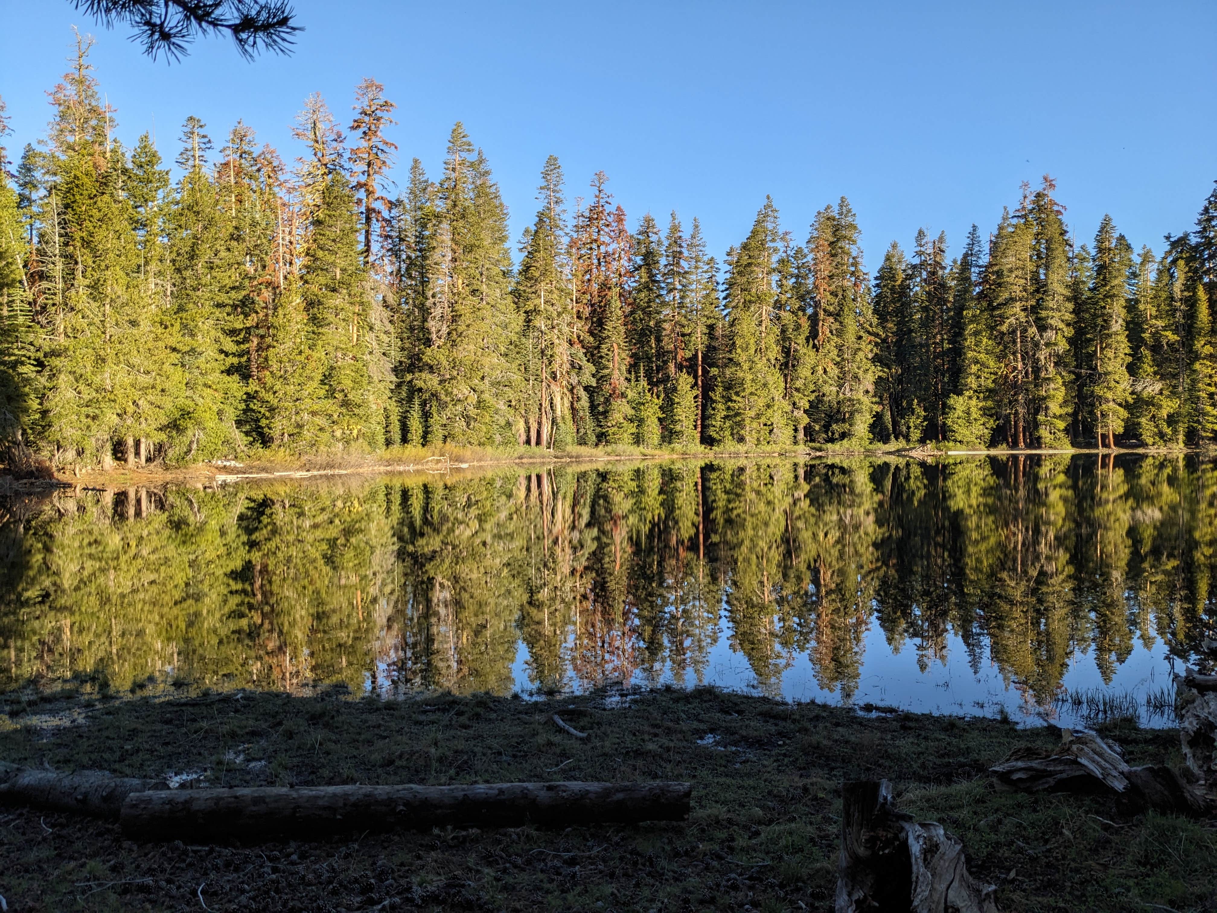 Camper-submitted photo at Lake of the Woods near Clio, CA