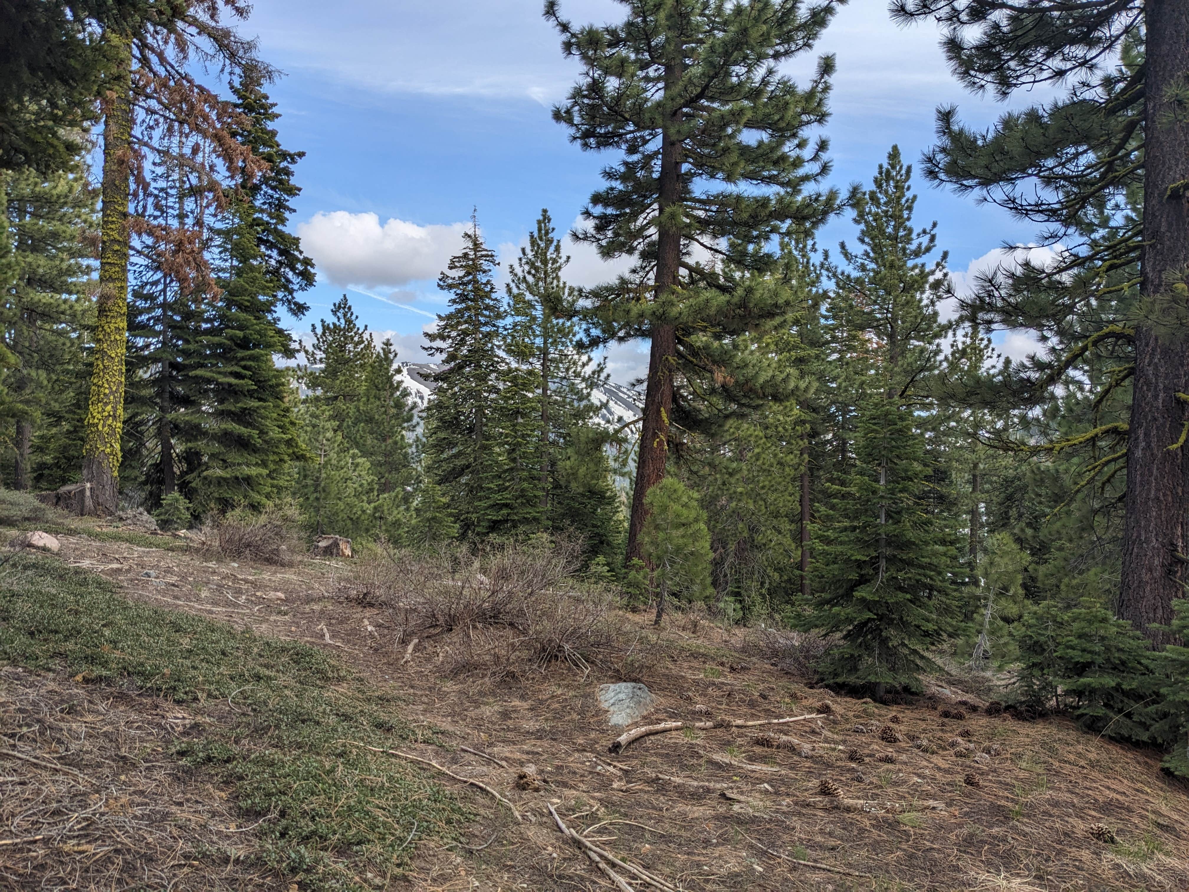 Camper-submitted photo at Lake of the Woods near Clio, CA