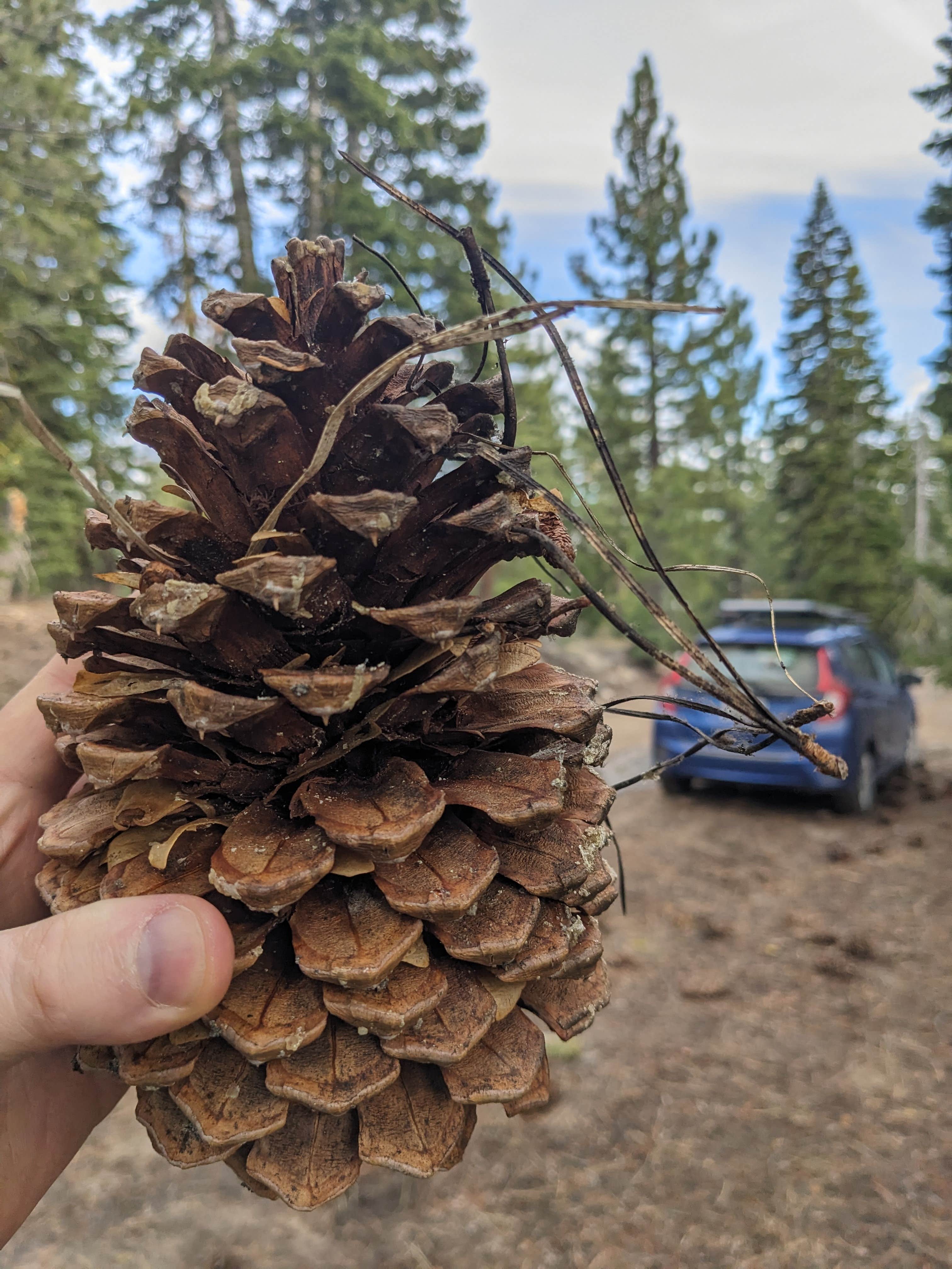 Camper-submitted photo at Lake of the Woods near Clio, CA