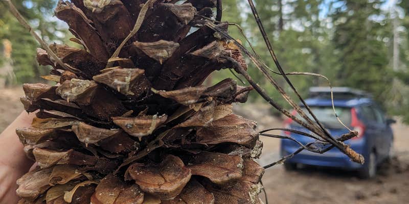 Camper submitted image from Lake of the Woods