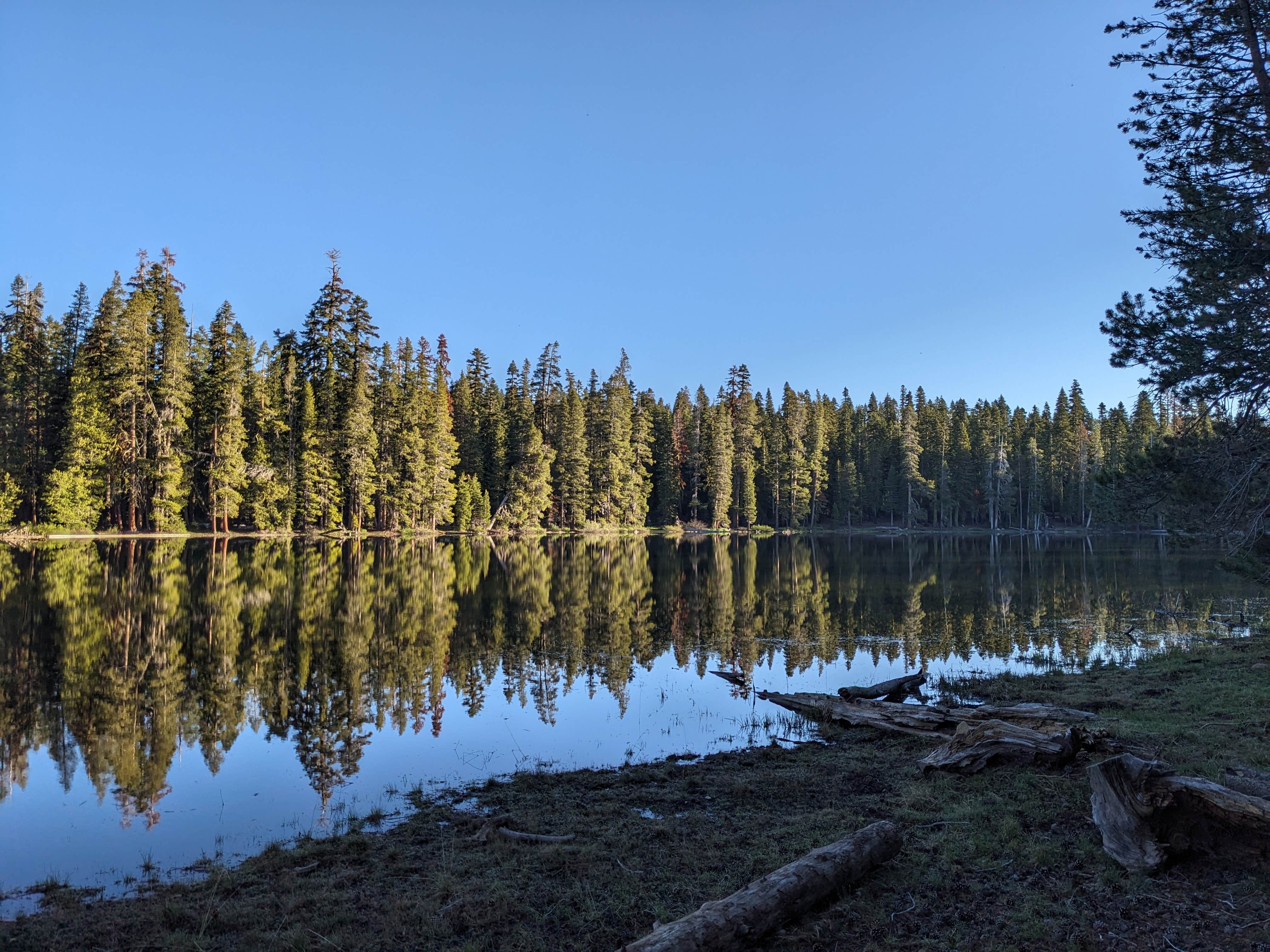 Camper-submitted photo at Lake of the Woods near Clio, CA