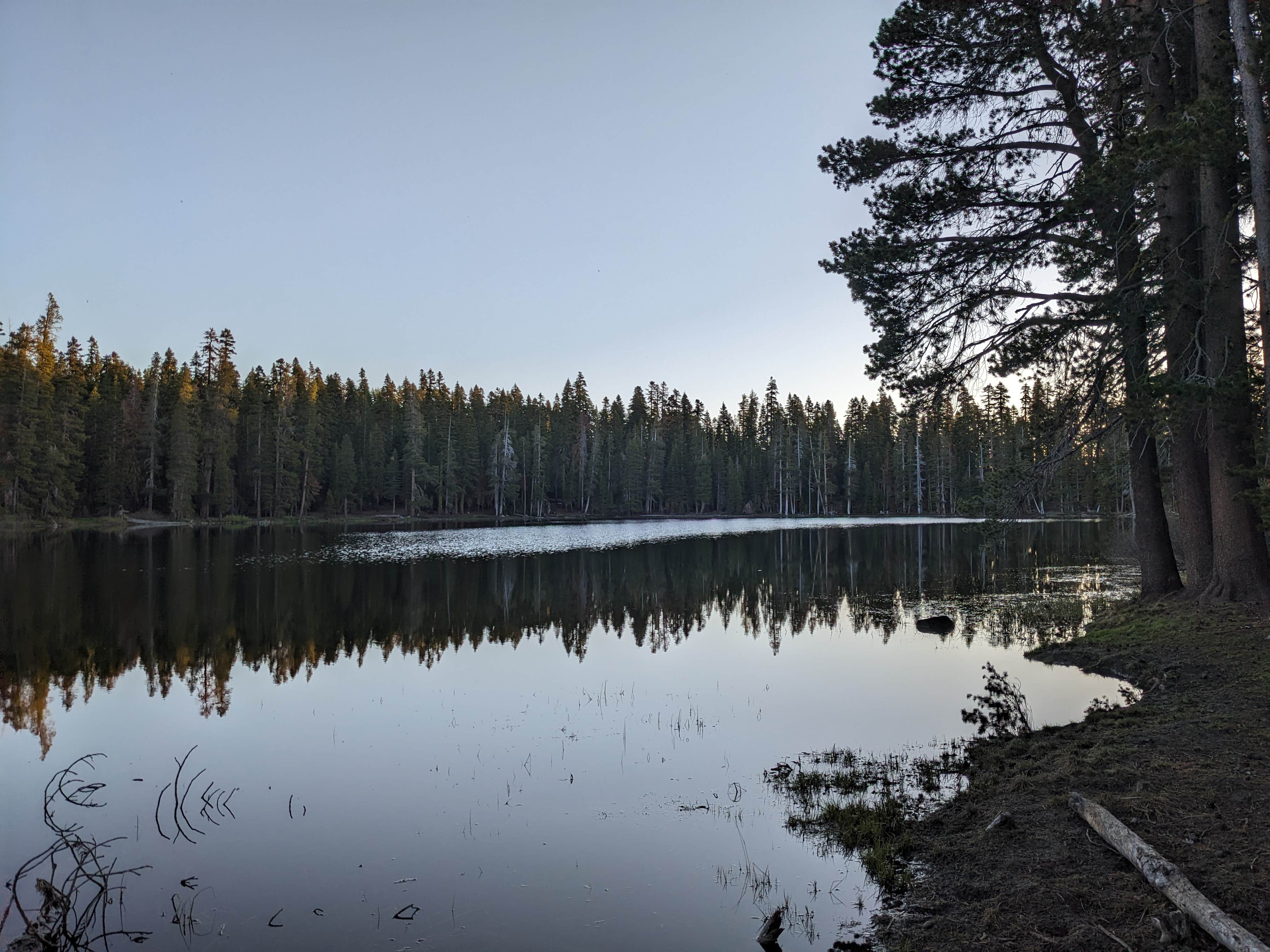 Camper submitted image from Lake of the Woods - 2