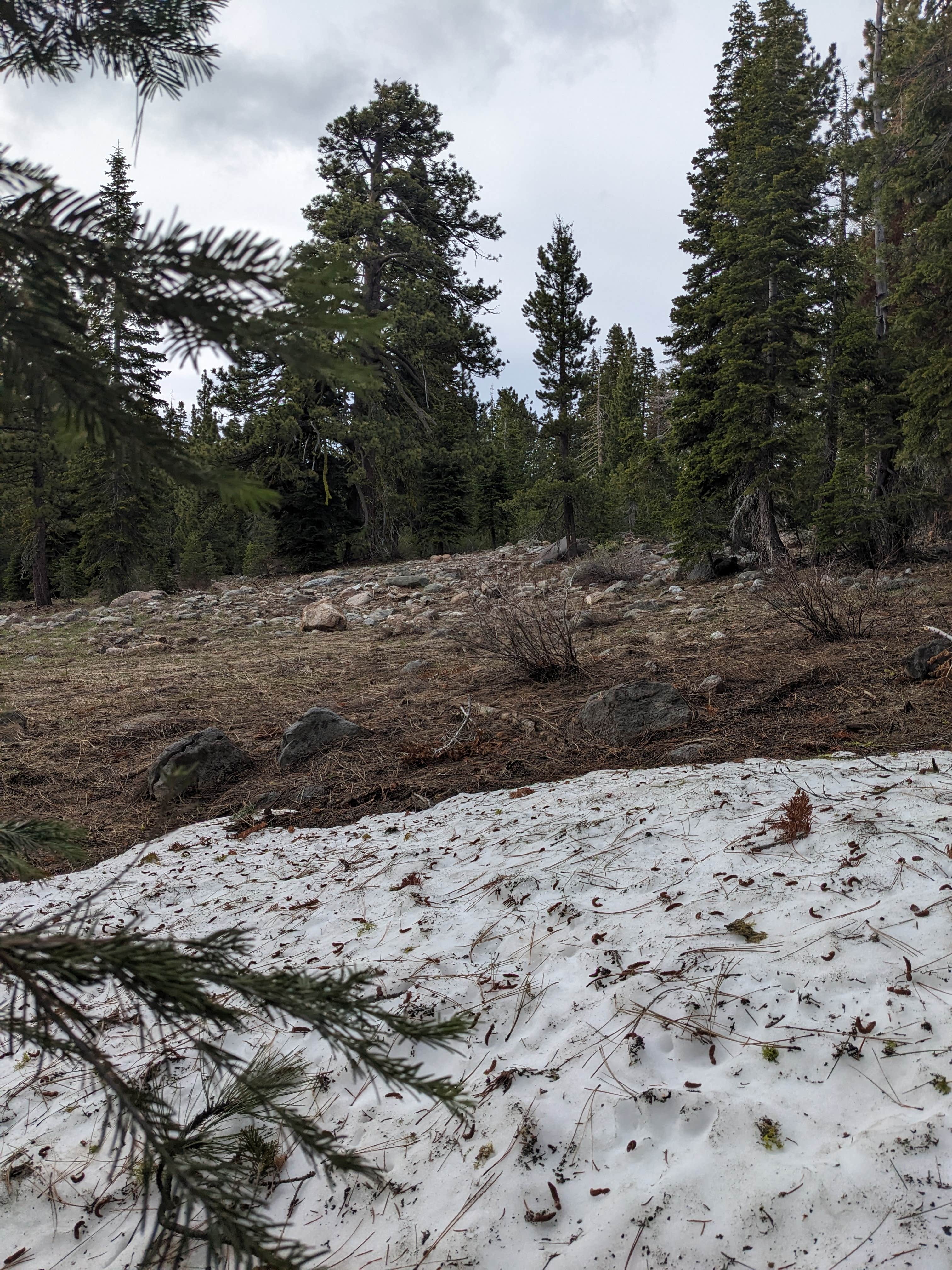 Camper-submitted photo at Lake of the Woods near Clio, CA