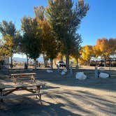 Review photo of Lake Olancha RV Park & Campground / Westside of Death Valley by Iris V., November 10, 2025