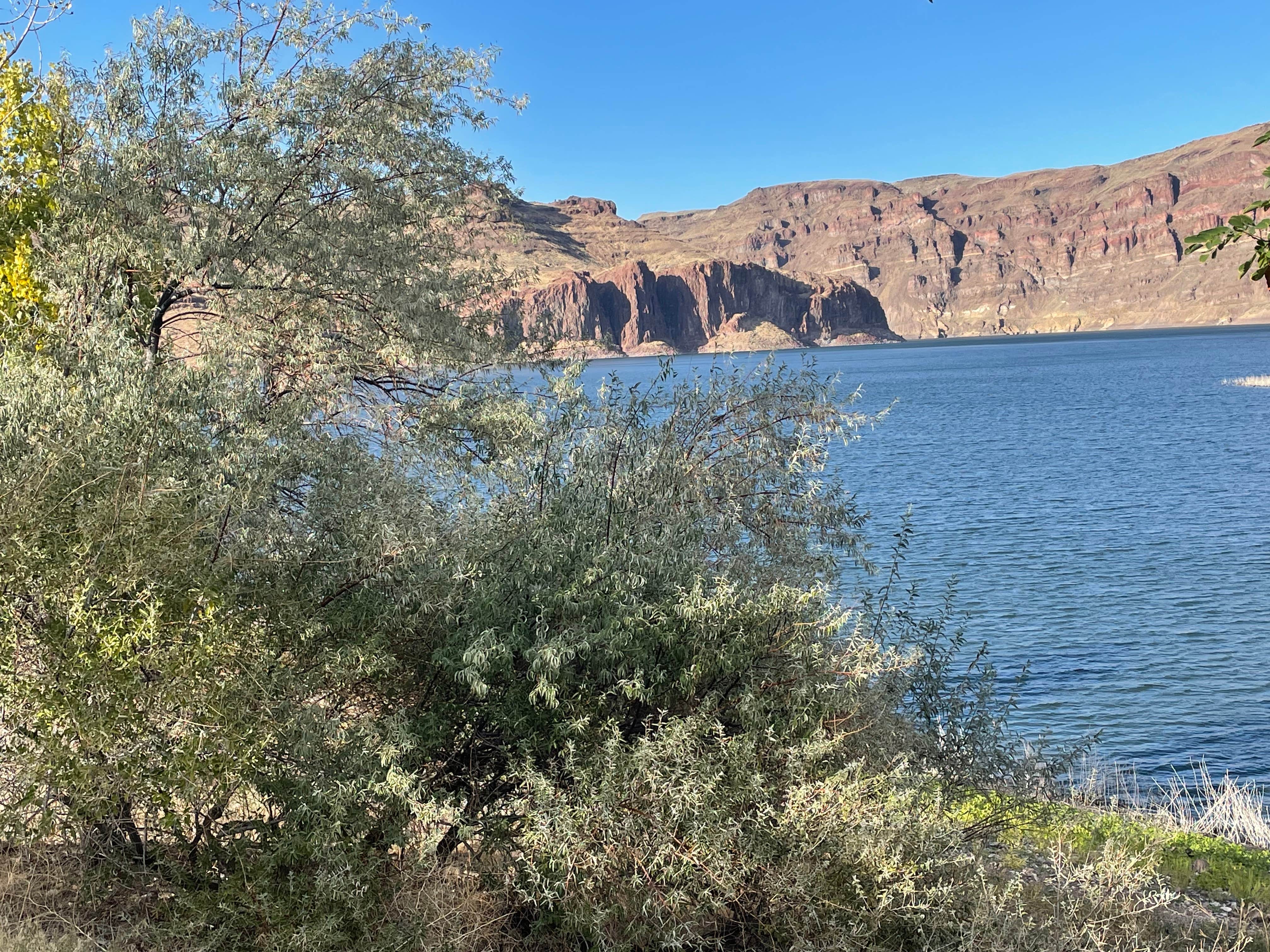 Camper-submitted photo at McCormack Campground — Lake Owyhee State Park near Star, ID
