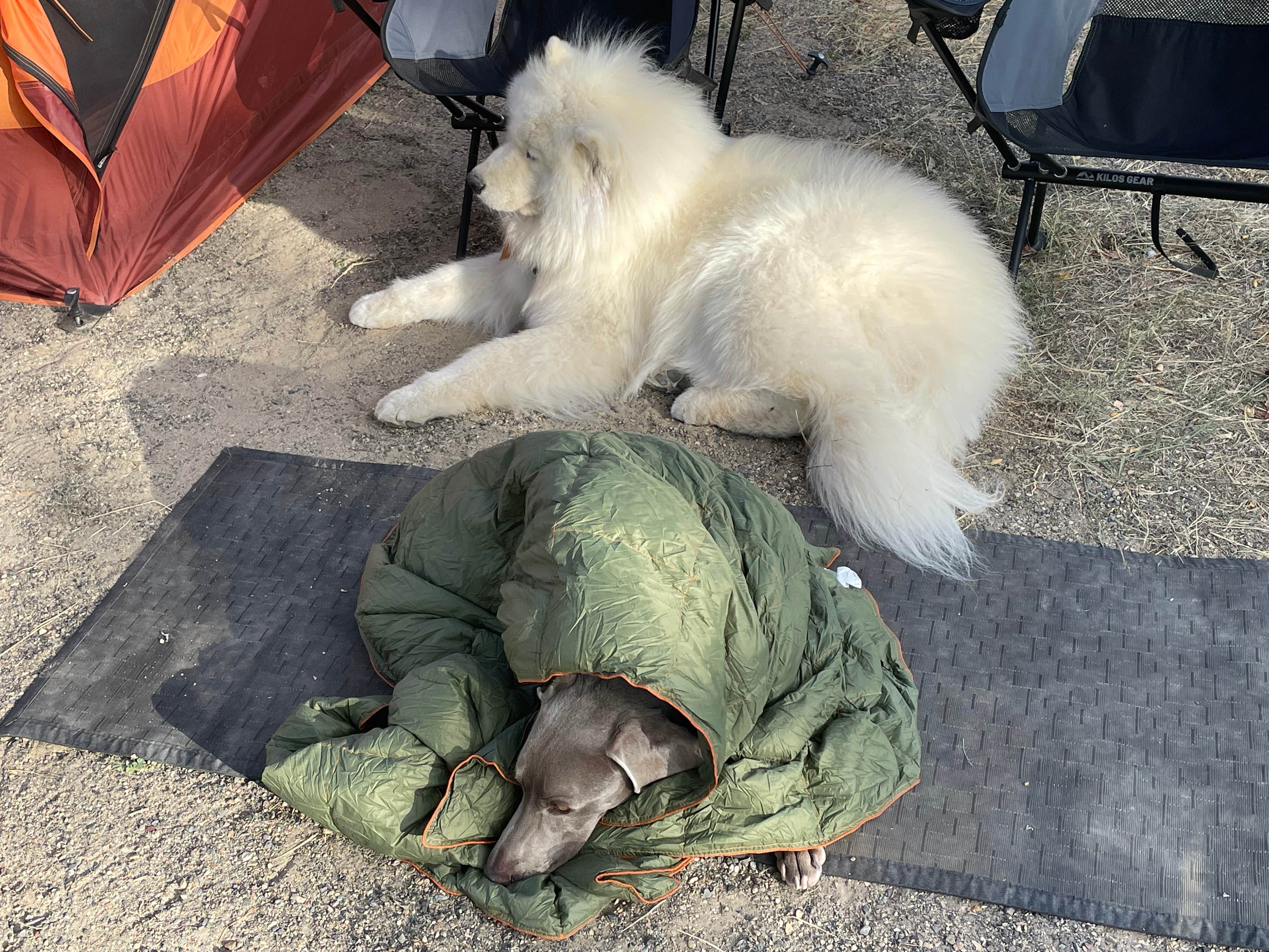 Camper-submitted photo at McCormack Campground — Lake Owyhee State Park near Star, ID