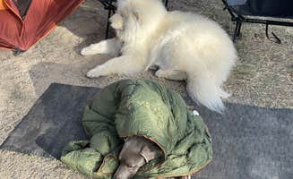 Bryan P.'s photo of camping with pets at McCormack Campground — Lake Owyhee State Park near Adrian, OR