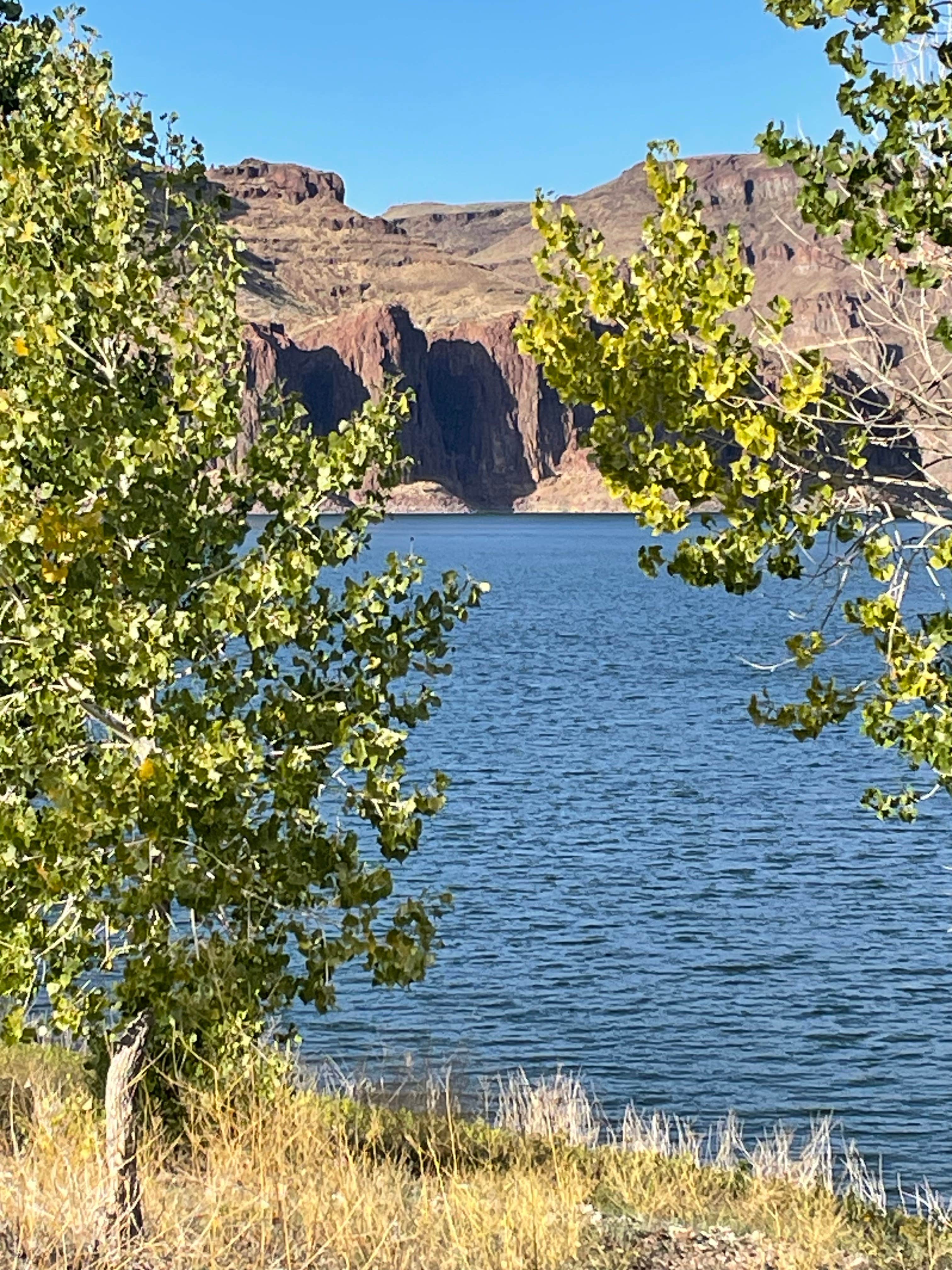 Camper-submitted photo at McCormack Campground — Lake Owyhee State Park near Star, ID