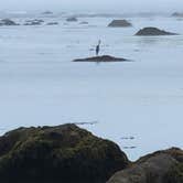 Review photo of Ozette Campground — Olympic National Park by Marty T., August 11, 2024