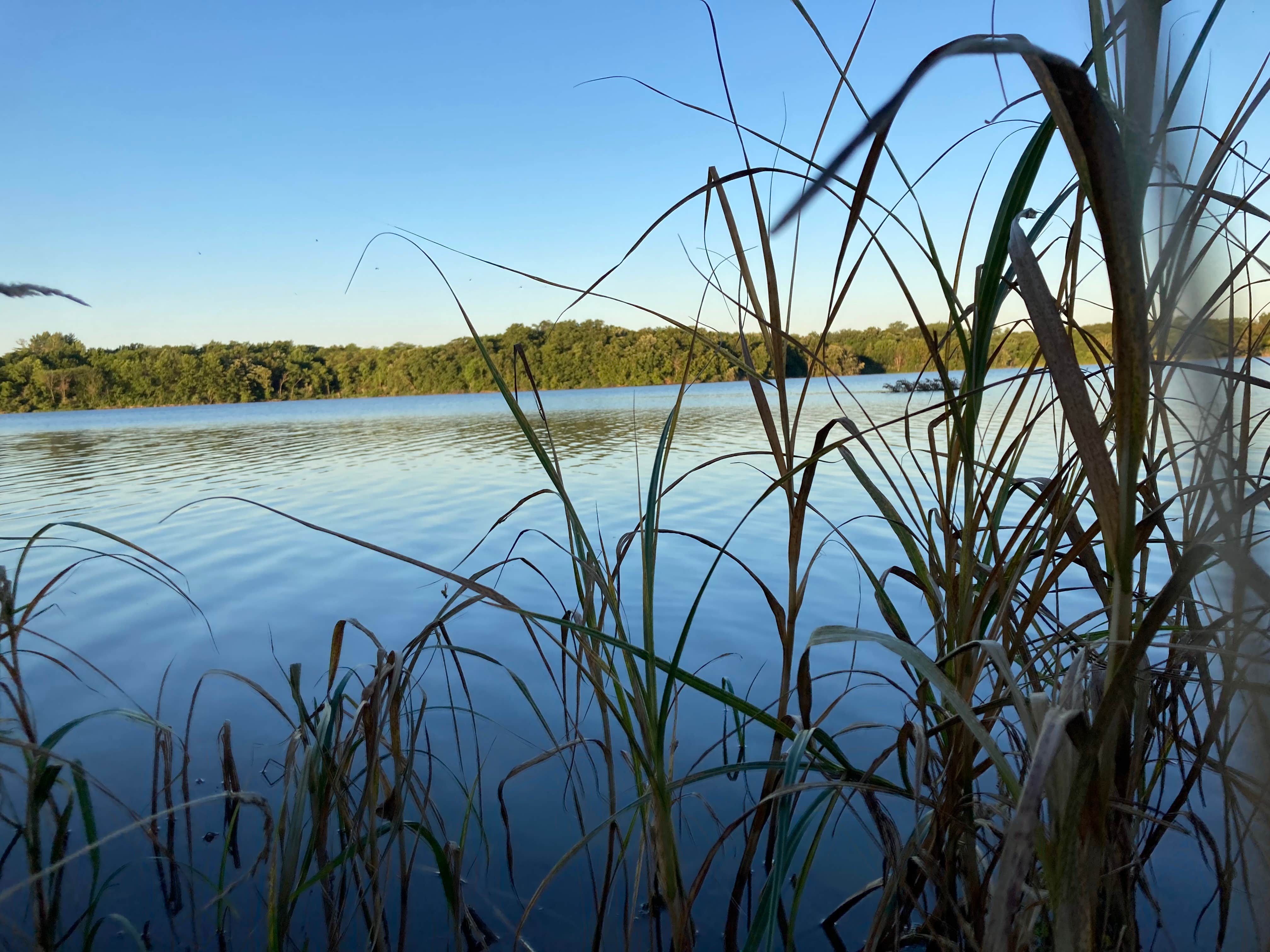 Camper-submitted photo at Lake Paho near Davis City, IA