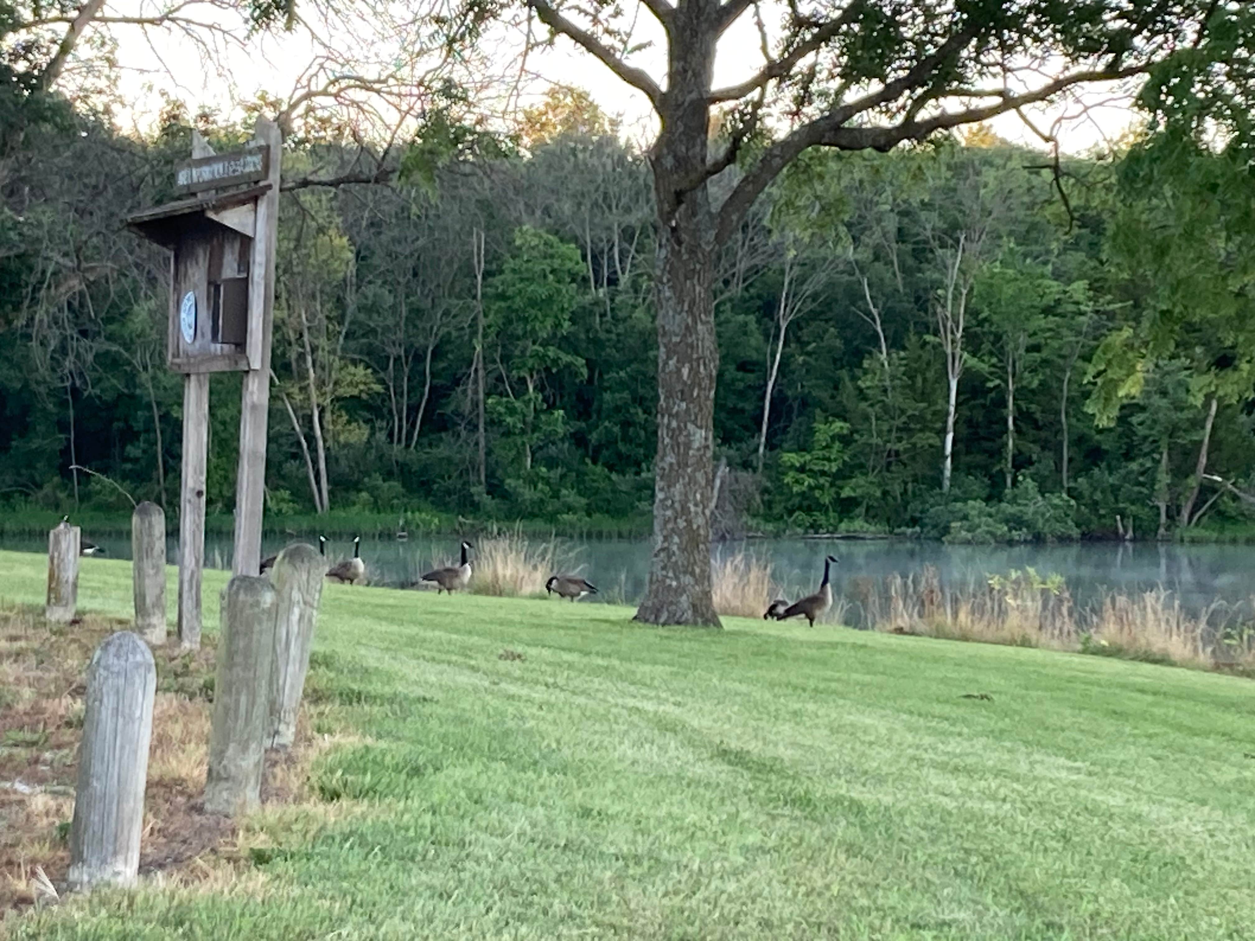Camper-submitted photo at Lake Paho near Davis City, IA