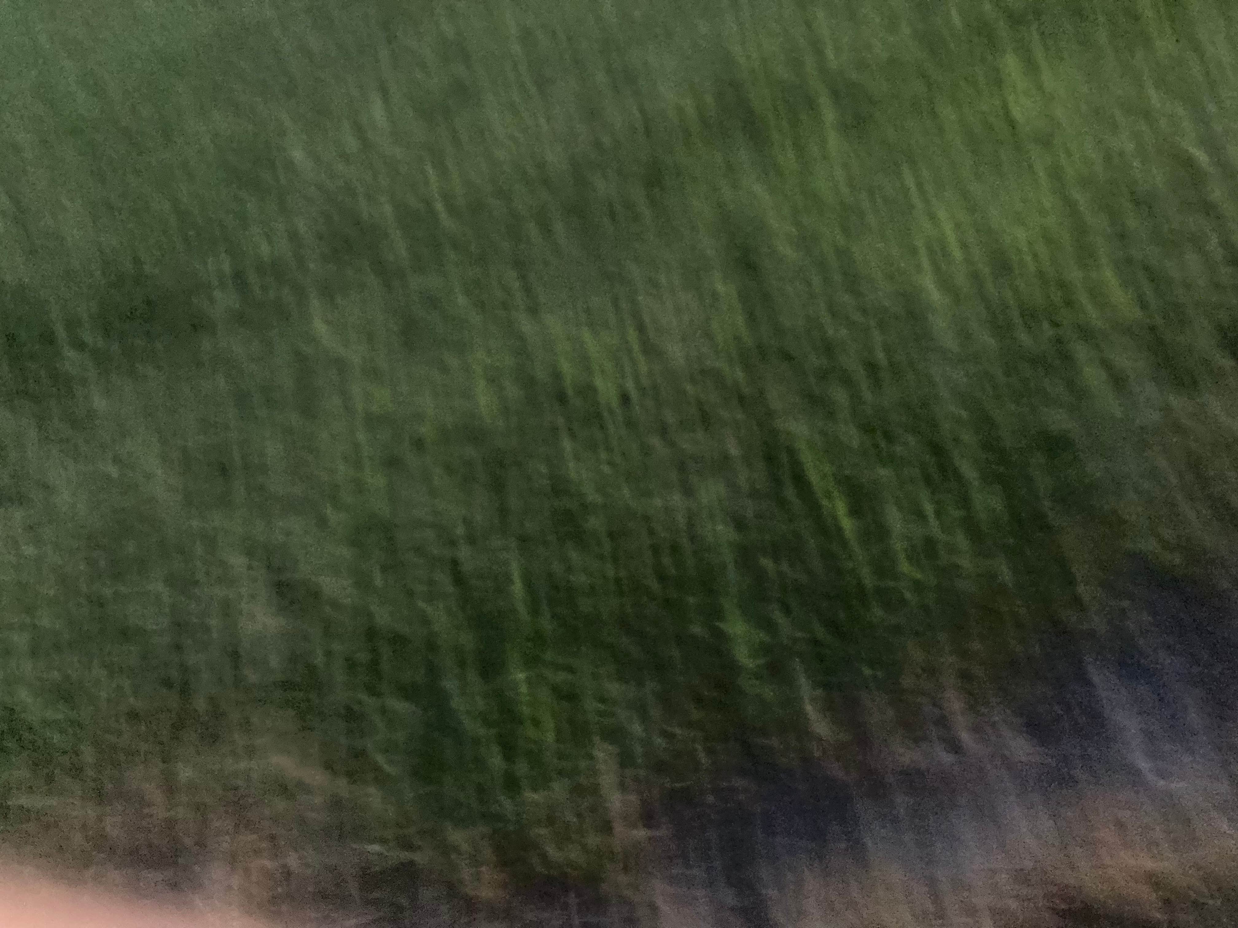 Camper-submitted photo at Lake Paho near Davis City, IA