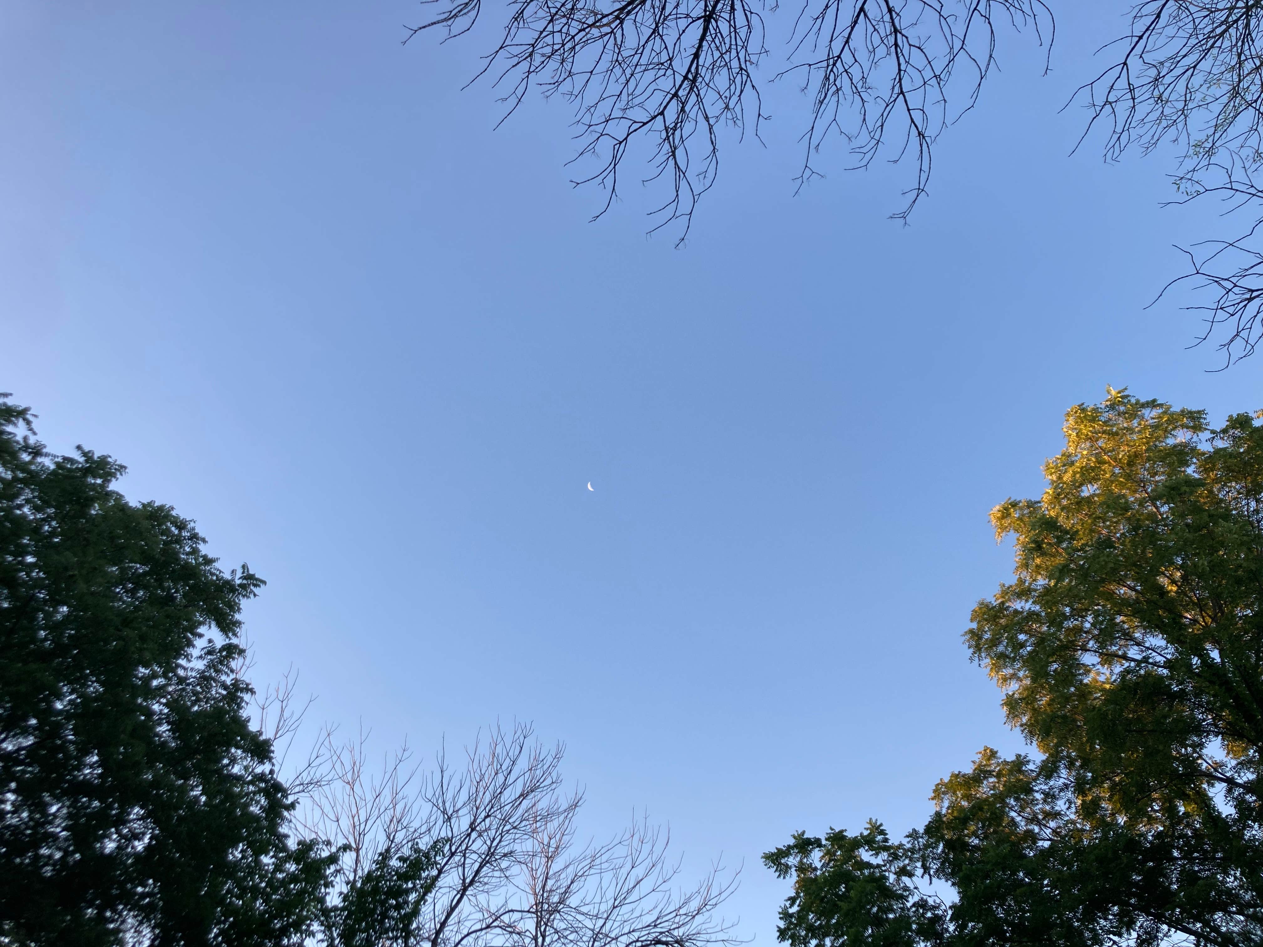 Camper-submitted photo at Lake Paho near Davis City, IA