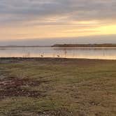 Review photo of Lake Palo Pinto RV Park by Pierre-Alain G., December 14, 2024