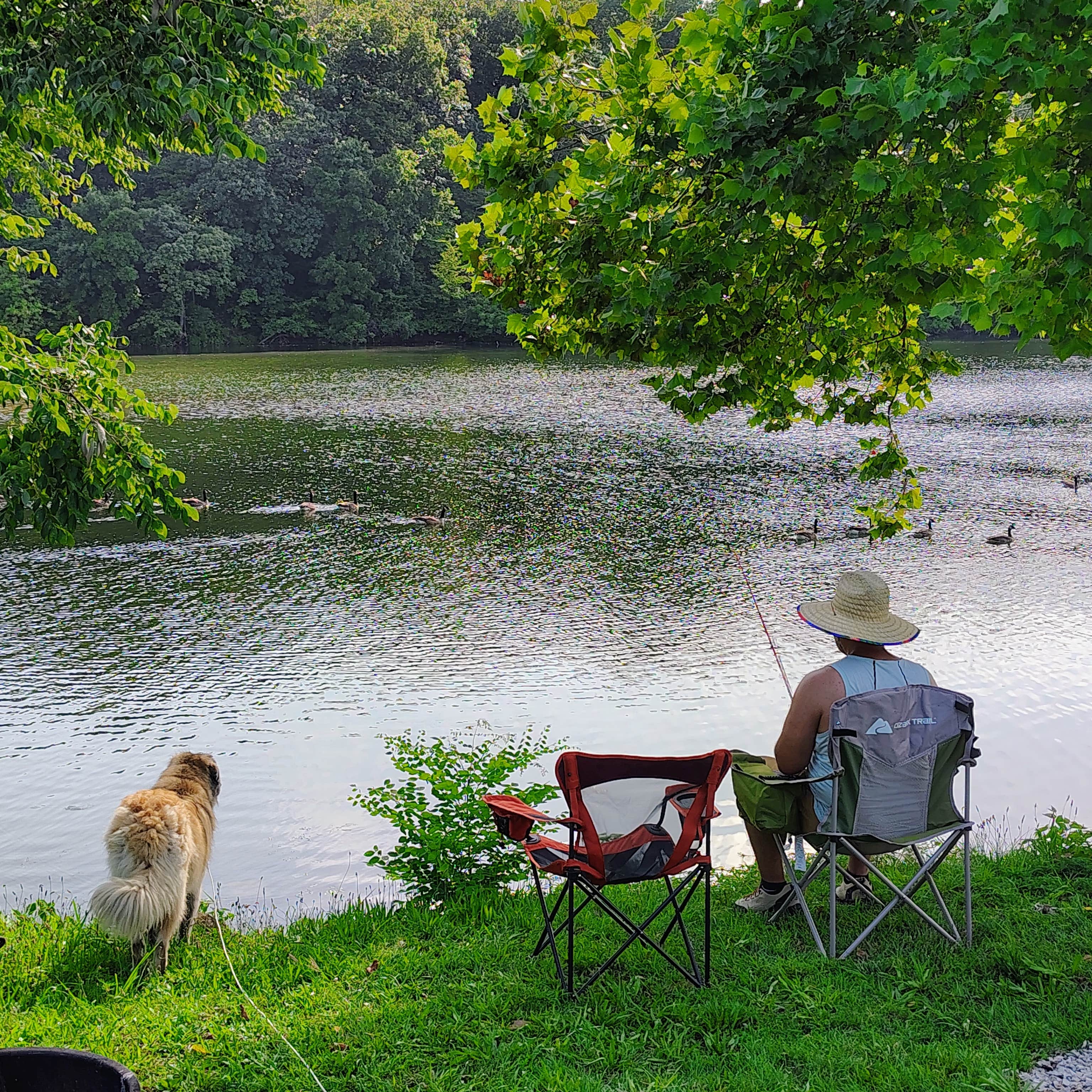 Cristel R.'s photo of camping with pets at Lake Paradise Resort near Lee's Summit, MO