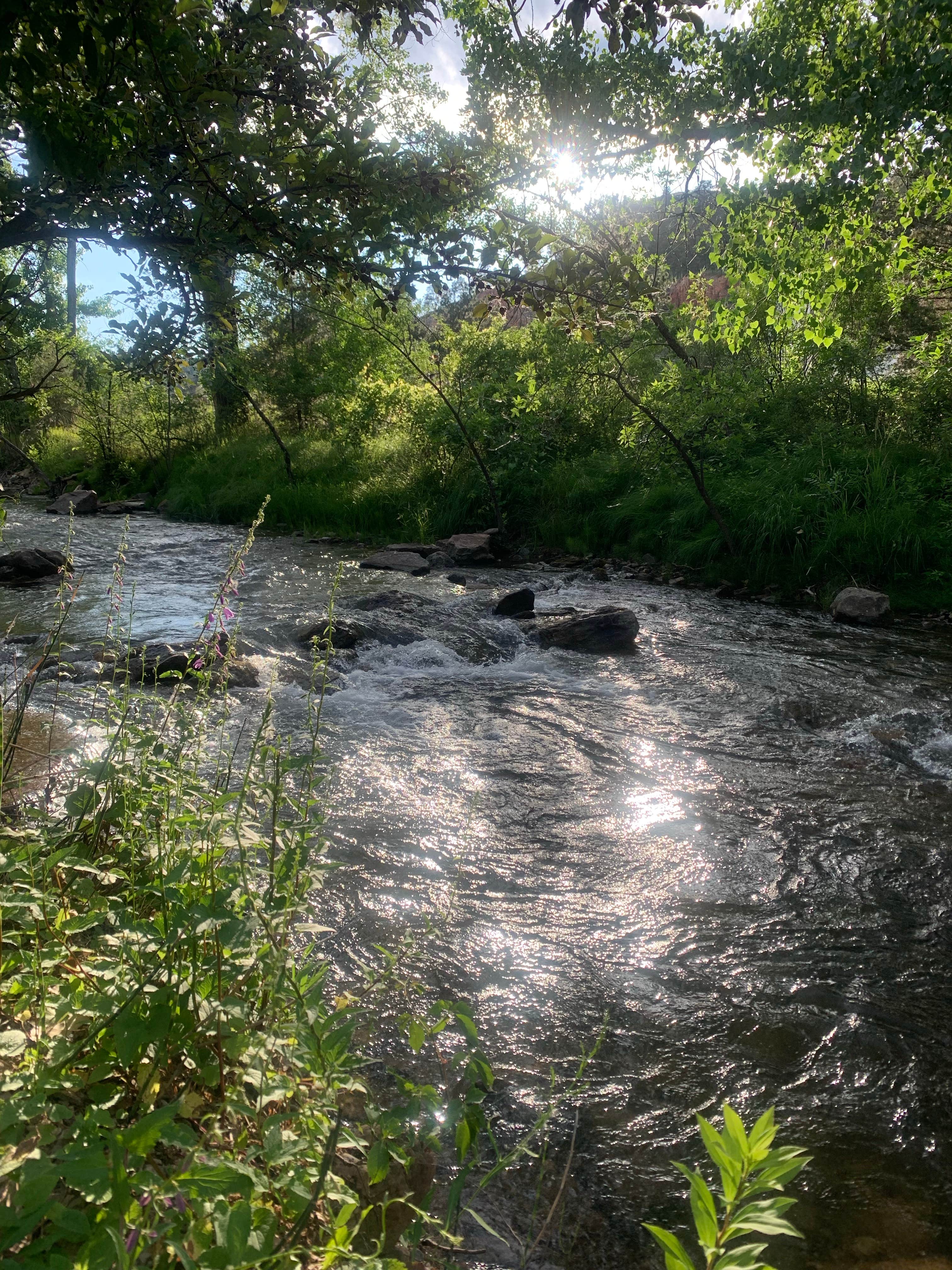 Camper-submitted photo at Lake Park Campground near Rapid City, SD