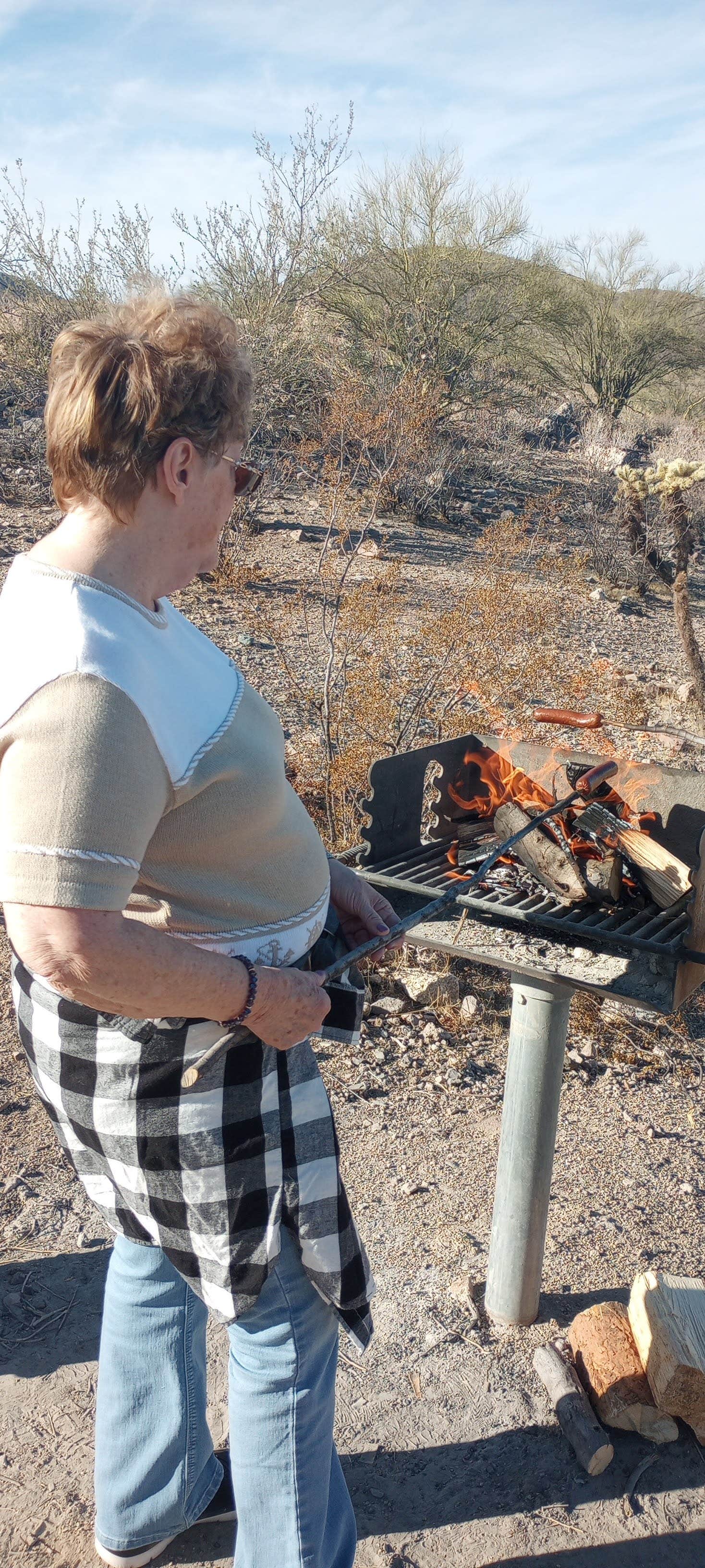 Camper submitted image from Lake Pleasant Dispersed Camp - 4