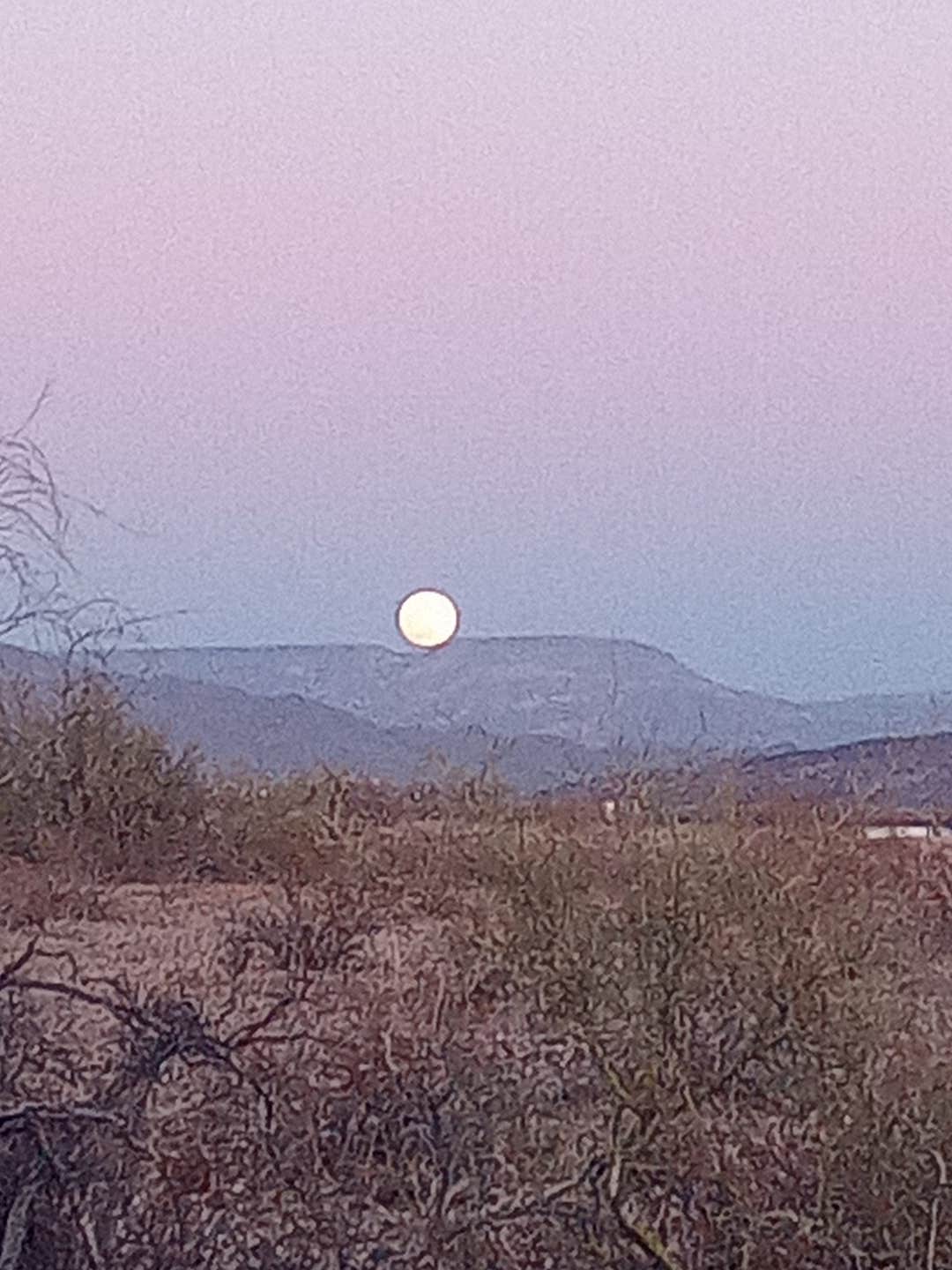 Camper submitted image from Lake Pleasant Dispersed Camp - 3