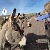 Review photo of Lake Pleasant Regional Park Campground by Jeana R., July 9, 2025