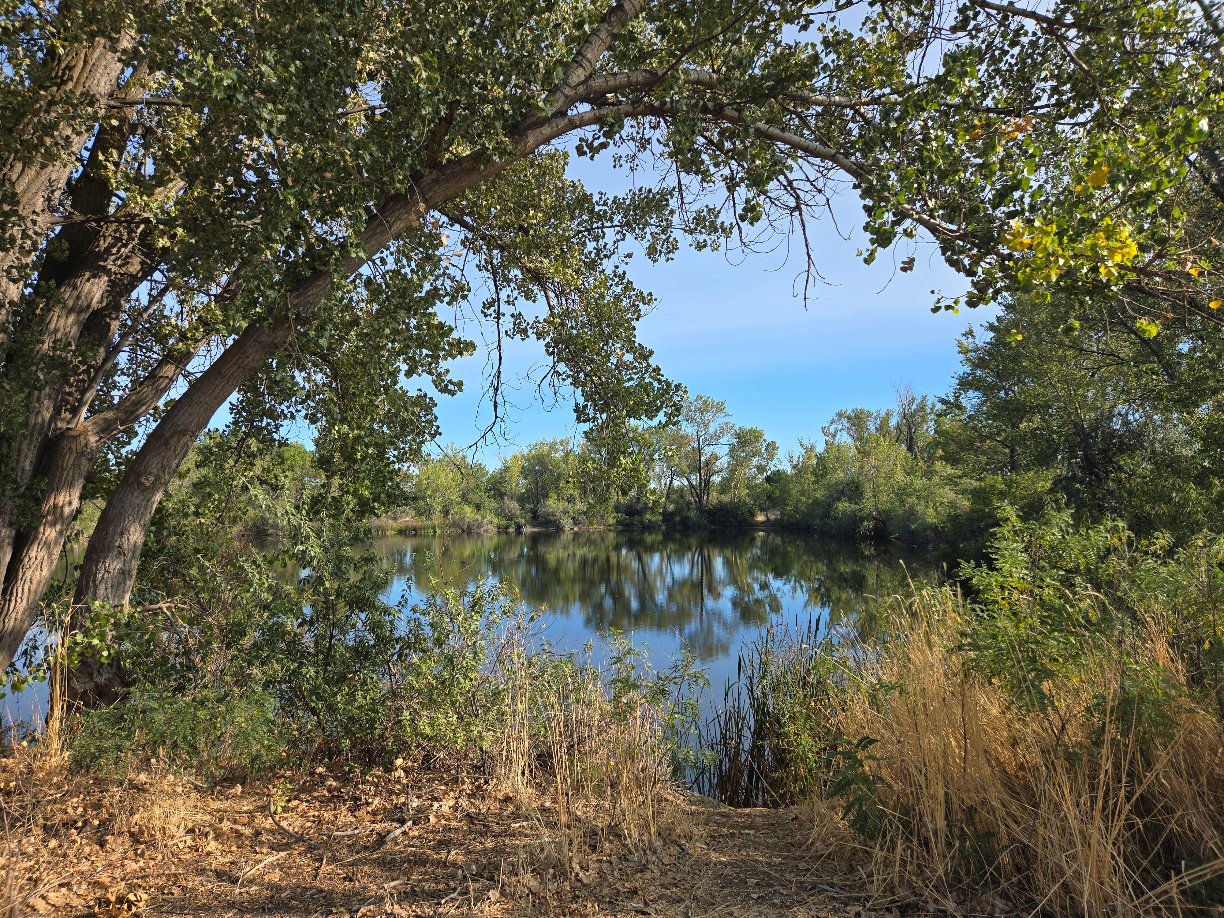 Lake point campground and rv resort