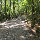 Review photo of Lake Powhatan — National Forests In North Carolina by Thomas B., September 1, 2026