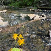 Review photo of Lake Powhatan — National Forests In North Carolina by Ruby C., May 10, 2026