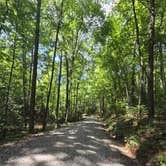 Review photo of Lake Powhatan — National Forests In North Carolina by Thomas B., September 1, 2026