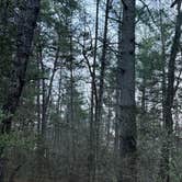 Review photo of Lake Powhatan — National Forests In North Carolina by Chris K., March 27, 2026