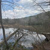 Review photo of Lake Powhatan — National Forests In North Carolina by Chris K., March 27, 2026