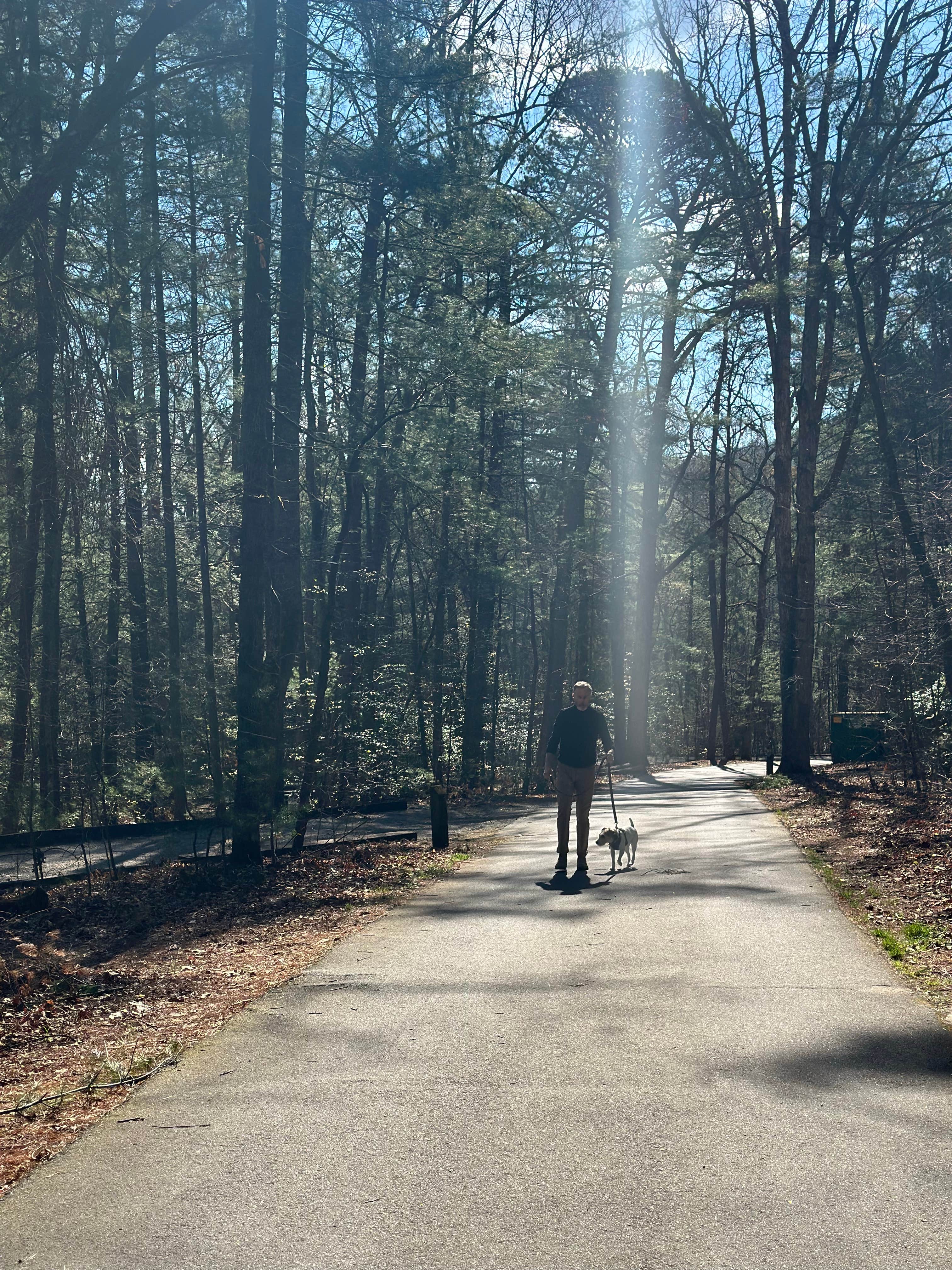 Heather C.'s photo of camping with pets at Lake Powhatan — National Forests In North Carolina near National Forests in North Carolina