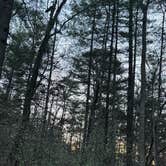 Review photo of Lake Powhatan — National Forests In North Carolina by Chris K., March 27, 2026