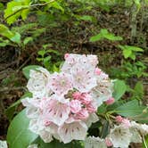 Review photo of Lake Powhatan — National Forests In North Carolina by Ruby C., May 10, 2026