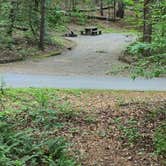 Review photo of Lake Powhatan — National Forests In North Carolina by leif D., June 4, 2025