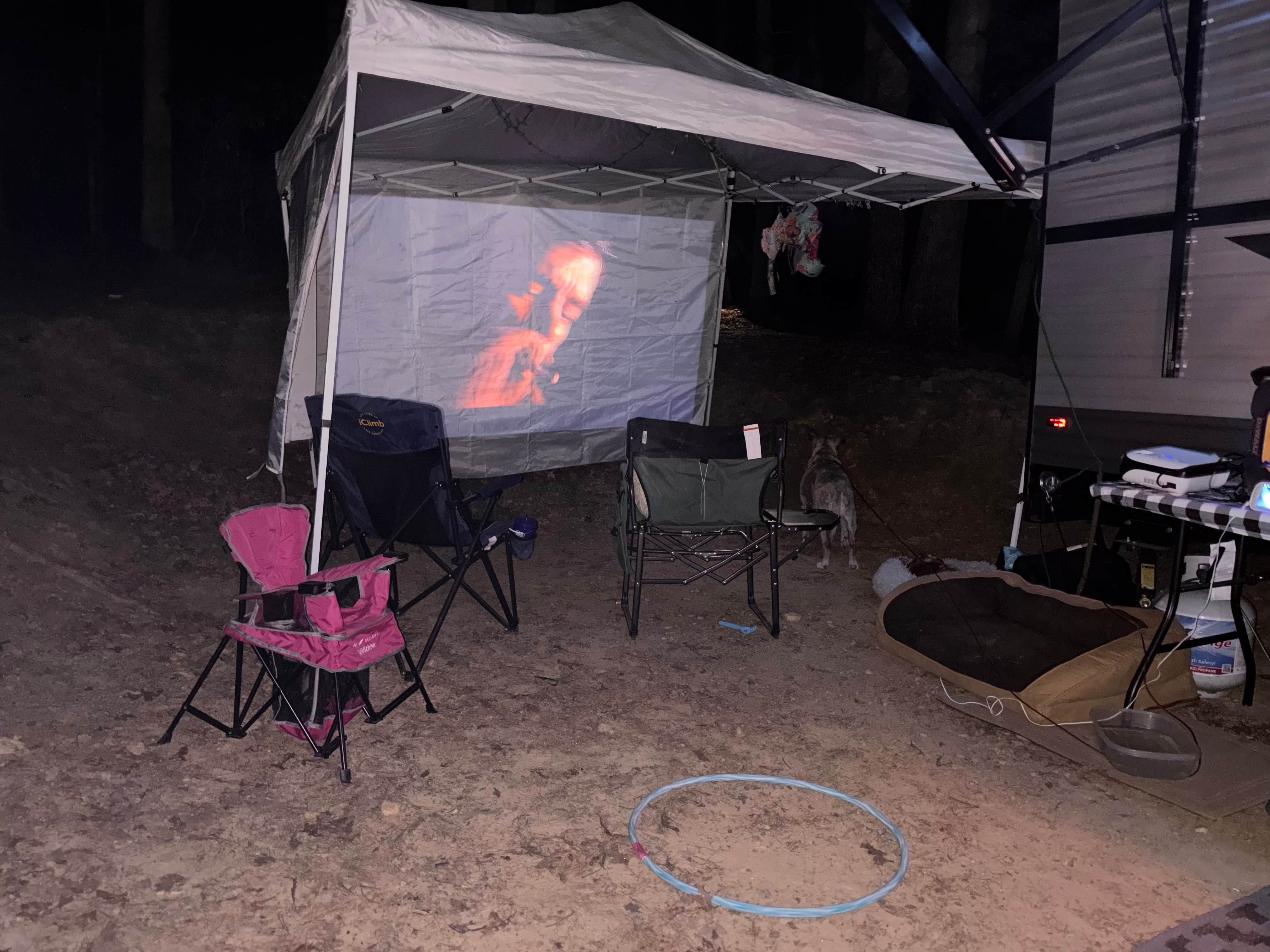 Alicia M.'s photo of camping with pets at Lake Ridge RV Resort near Shawsville, VA