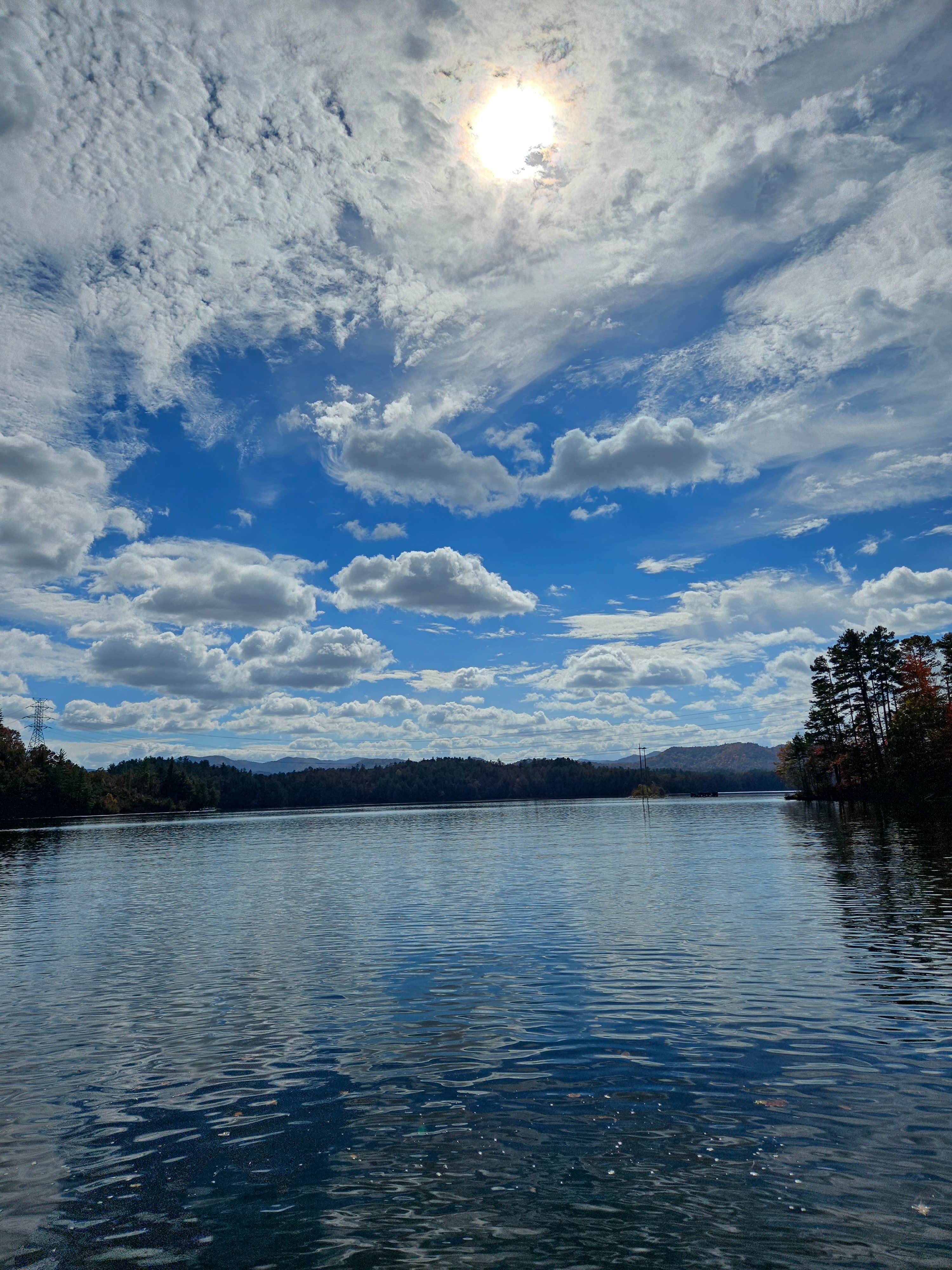 Robert W.'s photo of a dispersed camping area at Lake Santeelah Dispersed near Murphy, NC