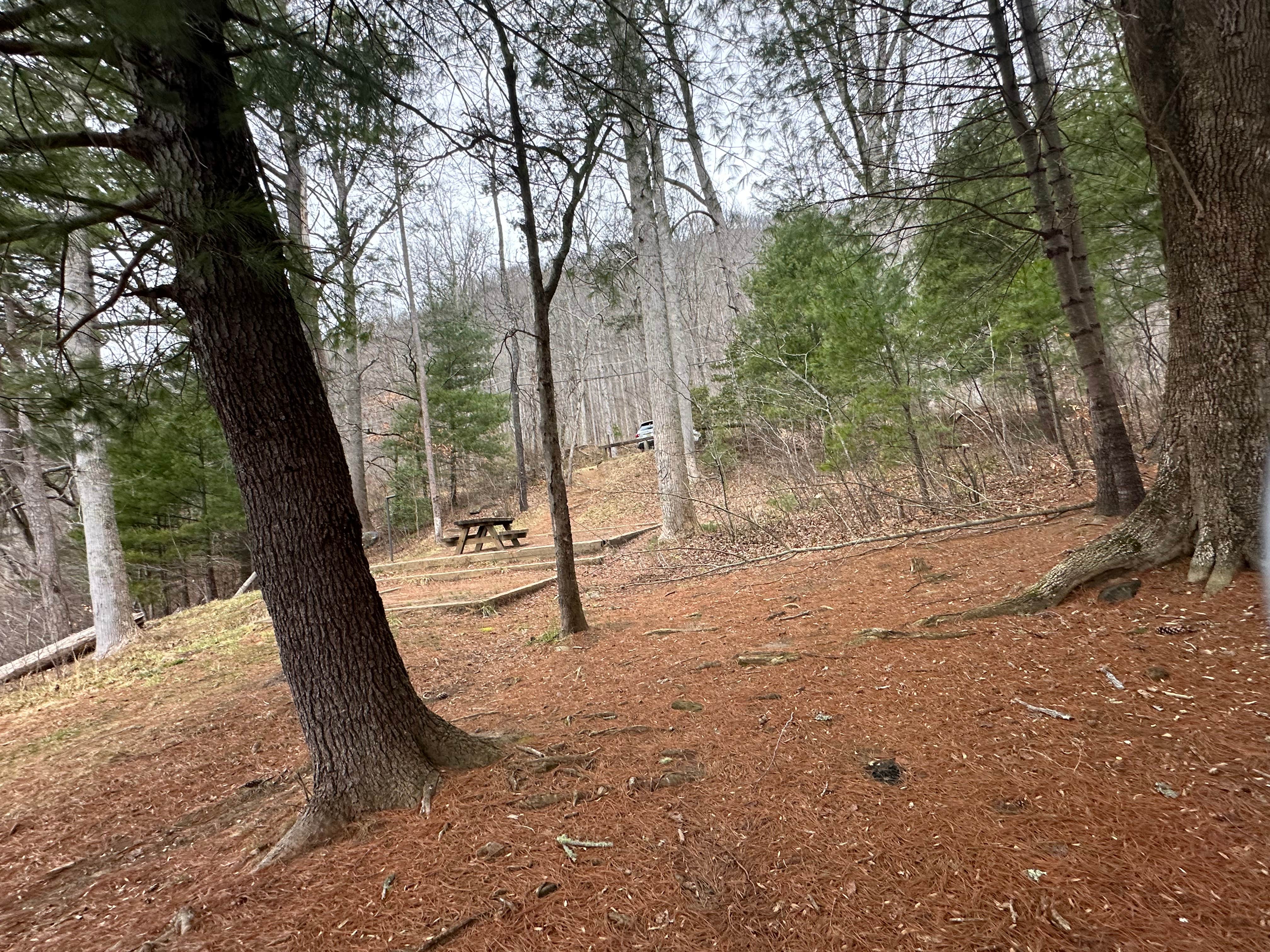 Camper-submitted photo at Lake Santeelah Dispersed near Tallassee, TN